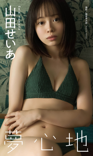 夢心地