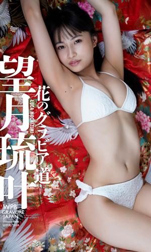 花のグラビア道
