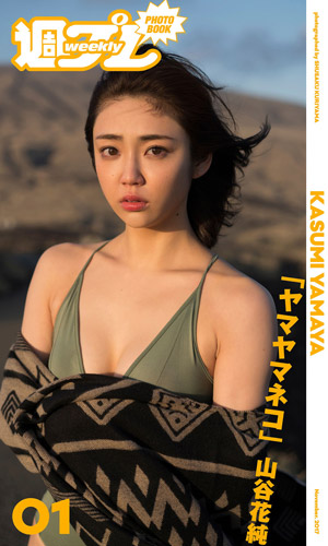 ヤマヤマネコ
