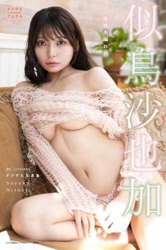 似鳥沙也加 デジタル写真集 恋の木漏れ日