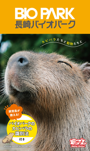 カピバラたちと動物たちと