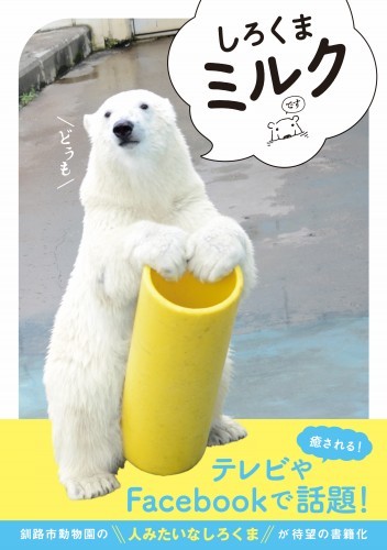 しろくま　ミルク