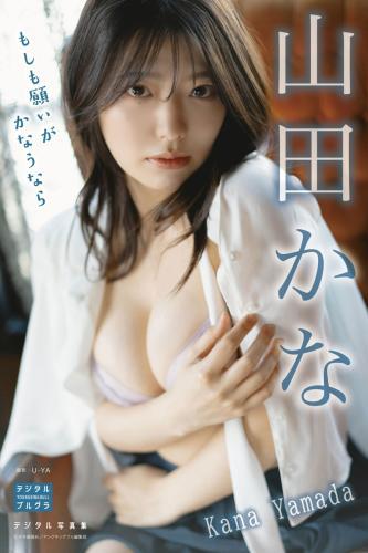 山田かな デジタル写真集 もしも願いがかなうなら