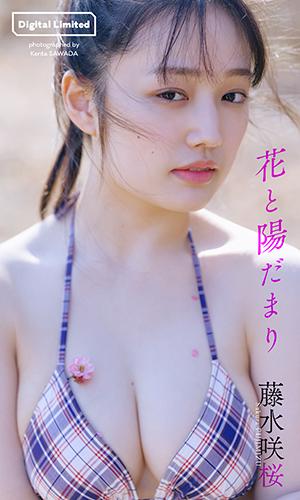花と陽だまり