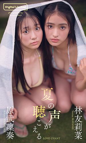 夏の声が聴こえる