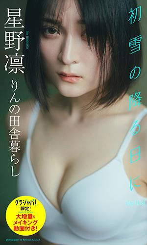 初雪の降る日に day final