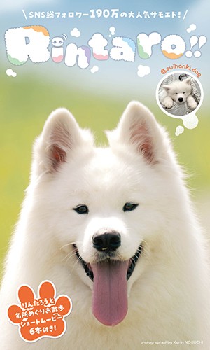 Rintaro!!