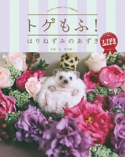トゲもふ！　はりねずみのあずき