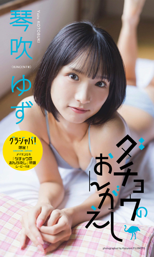 ダチョウのおんがえし
