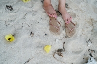 「続・恋する沖縄。」