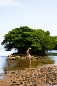「太陽に照らされて」