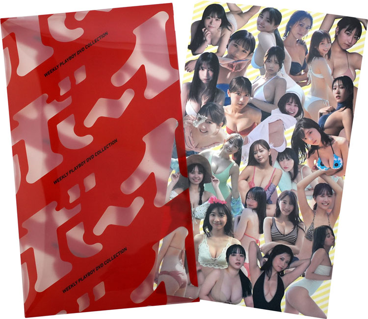 DVDファイル実物画像